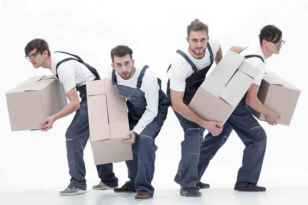 hommes avec carton en plein débarras